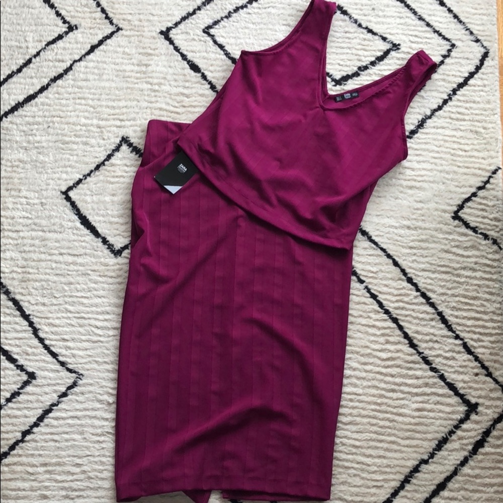 Zara Magenta Crop-Top & High-Waisted Pencil Skirt